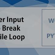 Controlling The While Loop Exit Through User Input