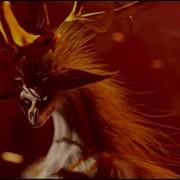 Winifred Animated Music Video