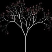 Fractal Tree Generator