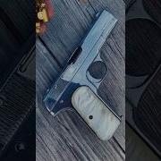 Nickel Pearl 1903 Pocket Hammerless Vs CZ Shadow 2 Carry Shorts Short