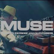 Moog Muse Moog Influence On Matt Johnson Of Jamiroquai S New Solo Album Jazz Cafe London