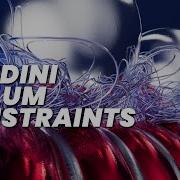 Houdini Tutorial VELLUM CONSTRAINTS ANIMATION