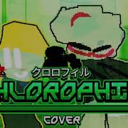 Chlorophyll Cover Vs Impostor V5 Kashi Vs Gray Dwp