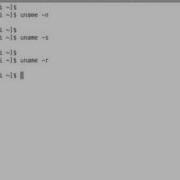 FREE TUTORIAL UNIX And Linux Uname Command