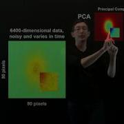 Dynamic Mode Decomposition Examples