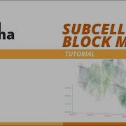 Cancha Subcell Blockmodel Tutorial