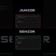 Junior Vs Senior Javascript Coding Python Programming