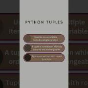 Python Tuple Pythonshorts Python Coder Pythontutorial Pythonprogramming