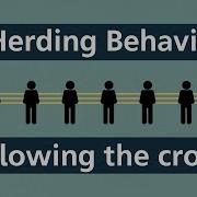 Herding Behavior How Following The Crowd Leads Us Astray