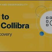 Collibra Data Quality Observability Demo Data Discovery