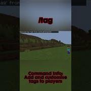 How To Use The Tag Command In Minecraft Bedrock Minecraft Bedrock Tutorial Commands Fyp
