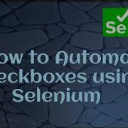 How To Automate Checkbox Using Selenium Java