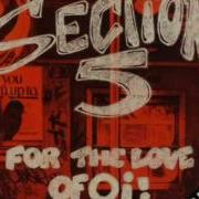 Section 5 Headcase