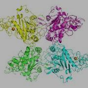 Researchers Reveal Fail Safe Structure Of Enzyme Linked To Alzheimer S