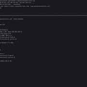 Exploit Shellshock Using Icmpshock