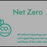 Roadmap To Net Zero With GridBeyond