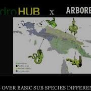 Green Tree Python Localities 101 Part One