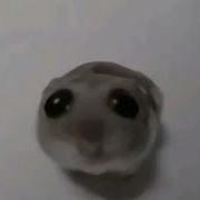 Sad Hamster EARRAPE