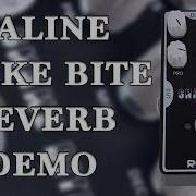 Caline CP 26 Snake Bite Reverb Demo