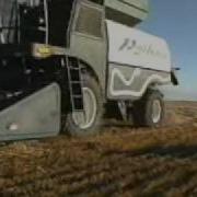 Thepython Wmv