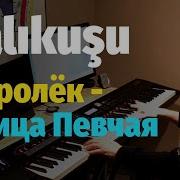 Çalıkuşu Soundtrack Piano Cover Sheet Королек Птица Певчая Пианино Ноты