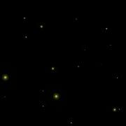 Firefly Effect After Effects Firefly Effect