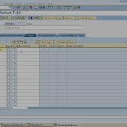 Creation Of Table Using Data Elements And Domains In Bottom Up Data Dictionary