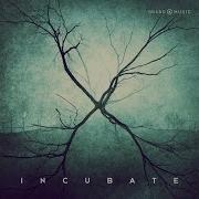 Decimate
