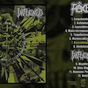 Fâché Impugned Split 10 LP FULL ALBUM 2025 Grindcore