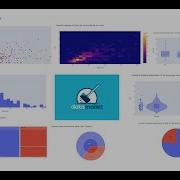 How To Create All Plotly Express Charts Automatically In Under 10 Lines Of Code Using Datamallet