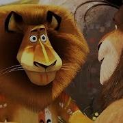 DreamWorks Madagascar Madagascar Fight Contest Madagascar Escape 2 Africa Kids Movies