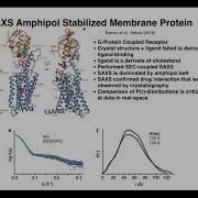 Validating And Modelling Complexation With SAXS Dr Rob Rambo Diamond Light Source