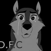 Animash Vent I D F C