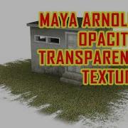 Opacity Map IN MAYA Maya Arnold Opacity Transparent Texture