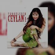 Ceylan Arguvan A Gidemem