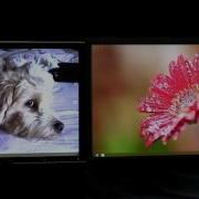 Windows 8 Multiple Monitor Support