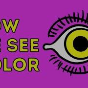 How We See Color Colm Kelleher