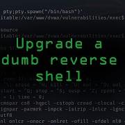 Upgrade A Dumb Reverse Shell Into A Fully Functional Terminal Tutorial