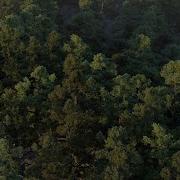 Houdini Solaris Animated Instances