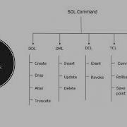 SQL Basic Command HAP 709