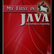 My First In Java Tutorial 11 Switch Case Using Integer Data Type