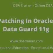 Patching In Oracle Data Guard 11g