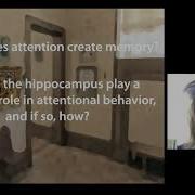 How Hippocampal Memory Shapes And Is Shaped By Attention