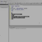 Introduction To Sql Server 2008 Database Option Transact Sql DBA