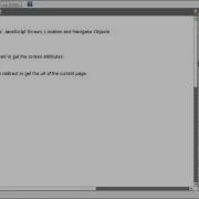 JavaScript Screen Location And Navigator Objects 1 4