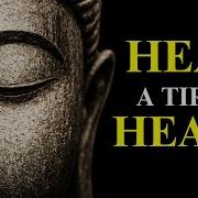 NO ADS Pain Is Inevitable Suffering Is Optional Buddhism Lessons For Acceptance