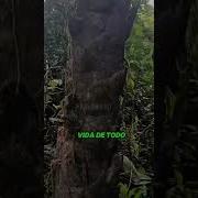 Mensaje De Dios Oracion Dios Fe Jesús Amen Fyp Viral Video