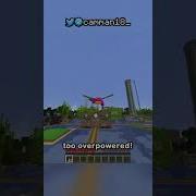 REMOVE THE ELYTRA