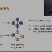 Data Driven Biological Network Alignment That Uses Topological Shawn Gu General GLBIO 2021