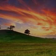 Qualia Everything Is Going To Be Fine Full Album